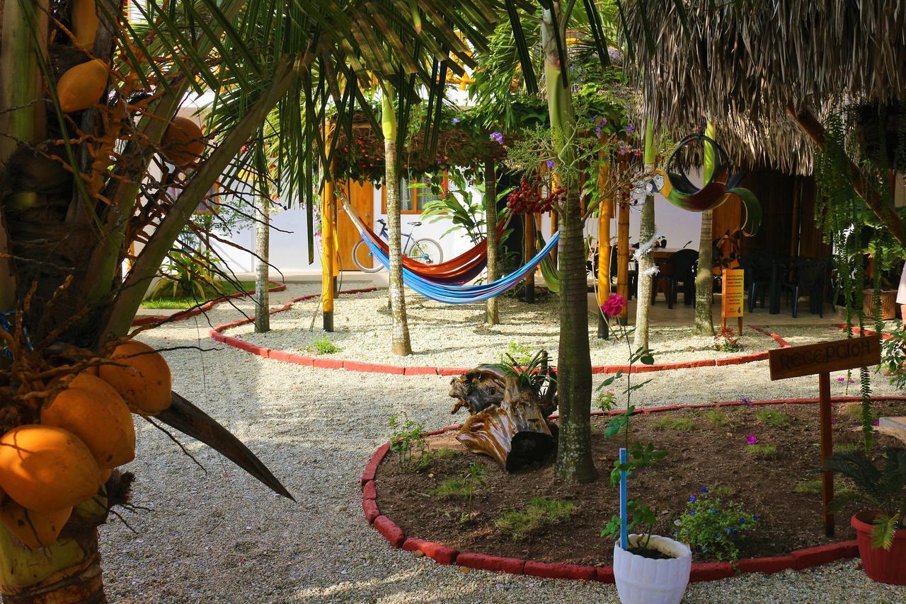 La Mariposa Hostal Олон Экстерьер фото