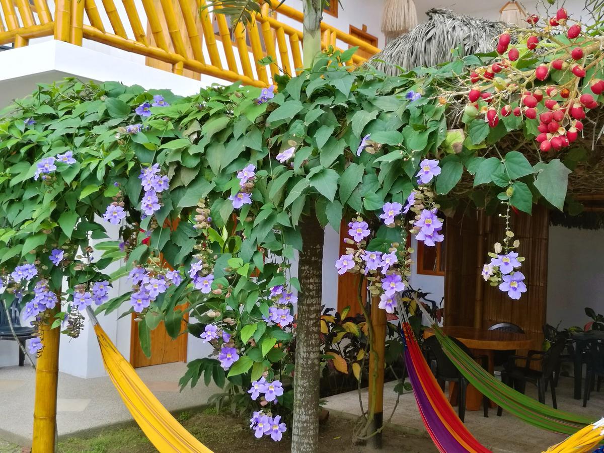 La Mariposa Hostal Олон Экстерьер фото